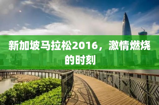 新加坡马拉松2016，激情燃烧的时刻