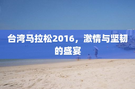台湾马拉松2016，激情与坚韧的盛宴