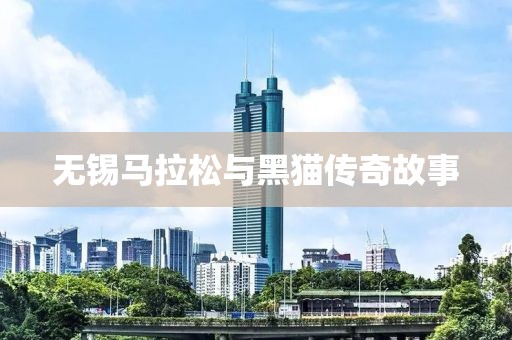 无锡马拉松与黑猫传奇故事