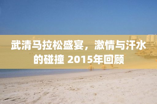 武清马拉松盛宴，激情与汗水的碰撞 2015年回顾