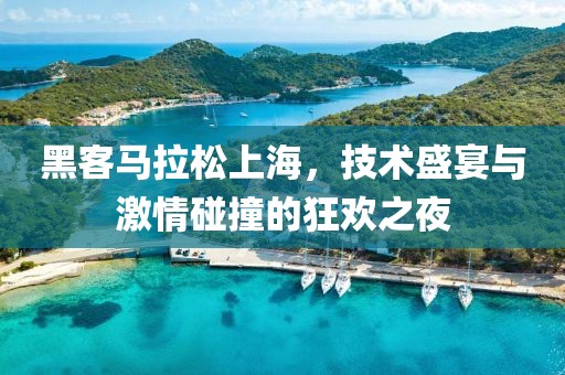 黑客马拉松上海，技术盛宴与激情碰撞的狂欢之夜