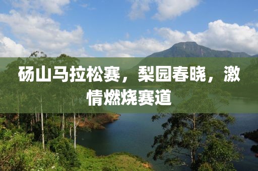 砀山马拉松赛，梨园春晓，激情燃烧赛道