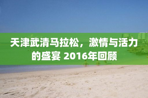 天津武清马拉松，激情与活力的盛宴 2016年回顾