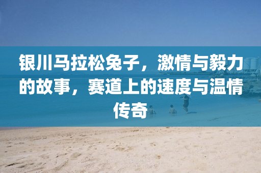 银川马拉松兔子，激情与毅力的故事，赛道上的速度与温情传奇