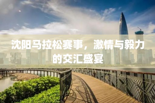 沈阳马拉松赛事，激情与毅力的交汇盛宴