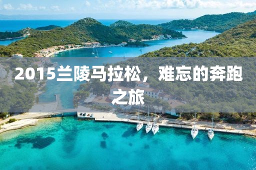 2015兰陵马拉松，难忘的奔跑之旅