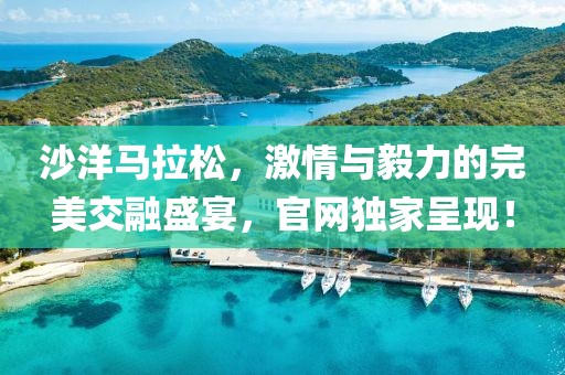 沙洋马拉松，激情与毅力的完美交融盛宴，官网独家呈现！