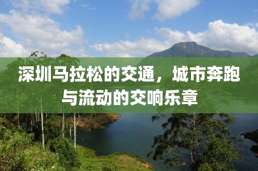 深圳马拉松的交通，城市奔跑与流动的交响乐章