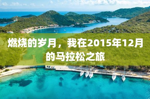 燃烧的岁月，我在2015年12月的马拉松之旅