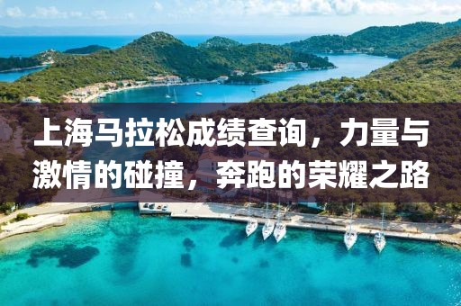 上海马拉松成绩查询，力量与激情的碰撞，奔跑的荣耀之路