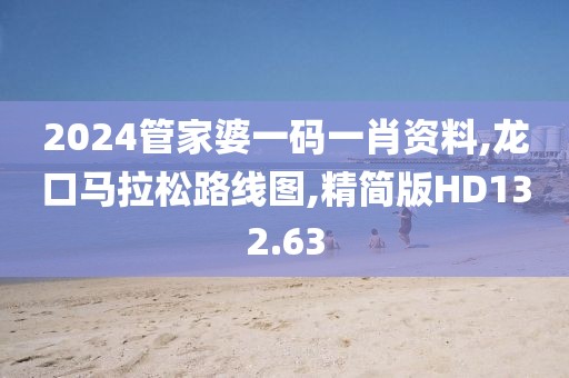 2024管家婆一码一肖资料,龙口马拉松路线图,精简版HD132.63