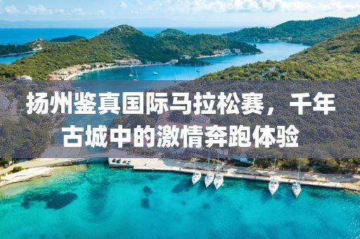 扬州鉴真国际马拉松赛，千年古城中的激情奔跑体验