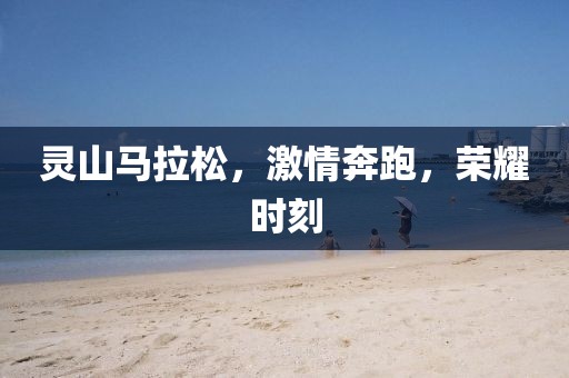 灵山马拉松，激情奔跑，荣耀时刻