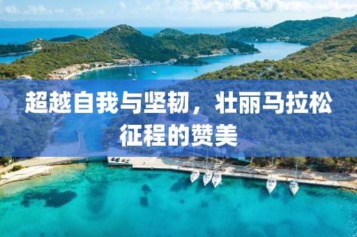 超越自我与坚韧，壮丽马拉松征程的赞美