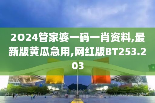 2O24管家婆一码一肖资料,最新版黄瓜急用,网红版BT253.203