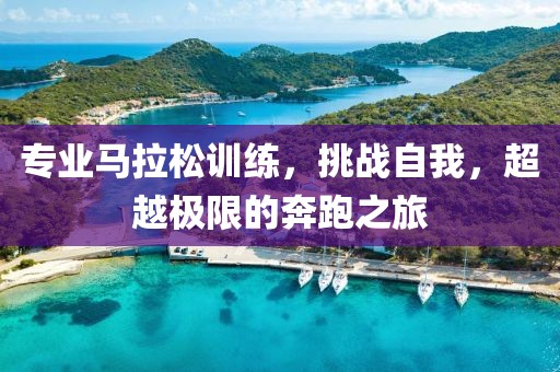 专业马拉松训练，挑战自我，超越极限的奔跑之旅