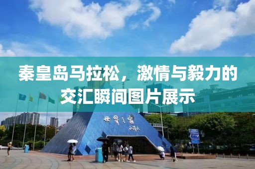 秦皇岛马拉松，激情与毅力的交汇瞬间图片展示