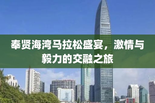 奉贤海湾马拉松盛宴，激情与毅力的交融之旅