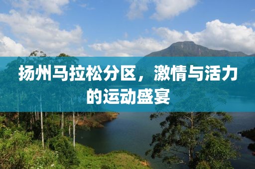 扬州马拉松分区，激情与活力的运动盛宴
