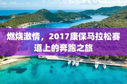 燃烧激情，2017康保马拉松赛道上的奔跑之旅