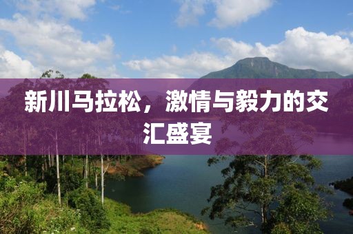 新川马拉松，激情与毅力的交汇盛宴