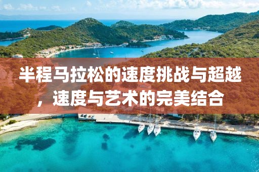半程马拉松的速度挑战与超越，速度与艺术的完美结合