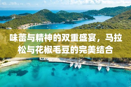 味蕾与精神的双重盛宴，马拉松与花椒毛豆的完美结合