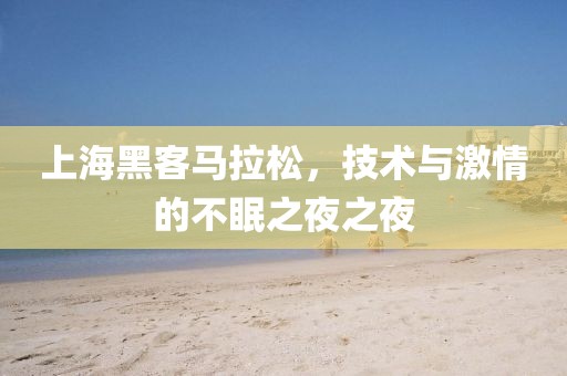 上海黑客马拉松，技术与激情的不眠之夜之夜