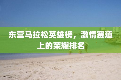 东营马拉松英雄榜，激情赛道上的荣耀排名