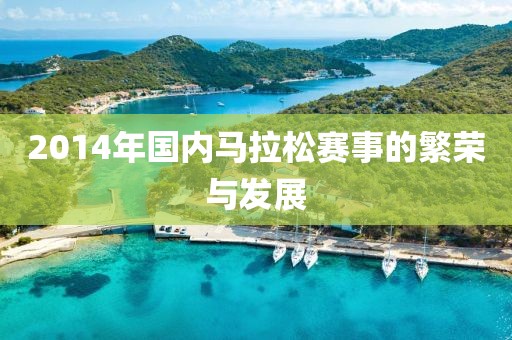 2014年国内马拉松赛事的繁荣与发展