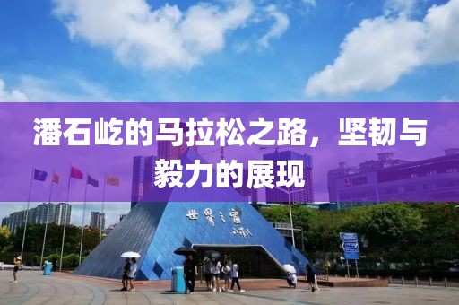 潘石屹的马拉松之路，坚韧与毅力的展现