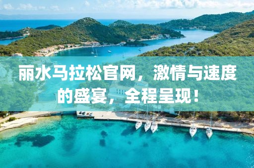 丽水马拉松官网，激情与速度的盛宴，全程呈现！