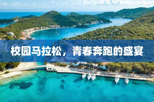校园马拉松，青春奔跑的盛宴