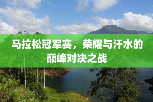 马拉松冠军赛，荣耀与汗水的巅峰对决之战