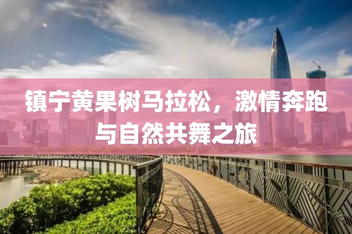 镇宁黄果树马拉松，激情奔跑与自然共舞之旅