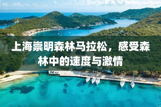 上海崇明森林马拉松，感受森林中的速度与激情