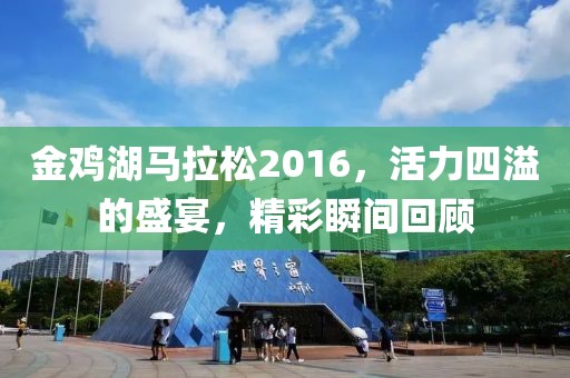 金鸡湖马拉松2016，活力四溢的盛宴，精彩瞬间回顾