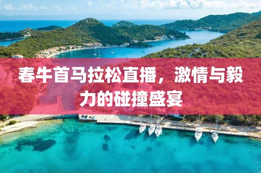 春牛首马拉松直播，激情与毅力的碰撞盛宴