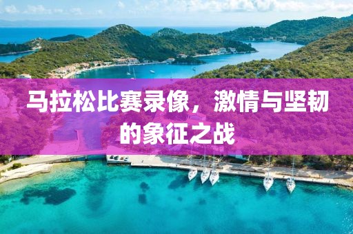 马拉松比赛录像，激情与坚韧的象征之战