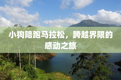 小狗陪跑马拉松，跨越界限的感动之旅