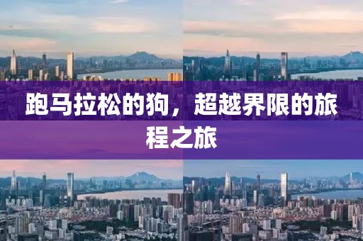 跑马拉松的狗，超越界限的旅程之旅