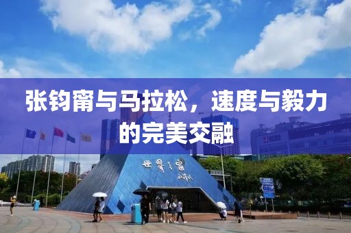 张钧甯与马拉松，速度与毅力的完美交融