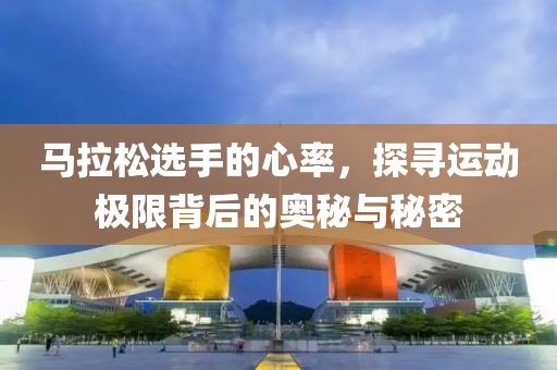 马拉松选手的心率，探寻运动极限背后的奥秘与秘密