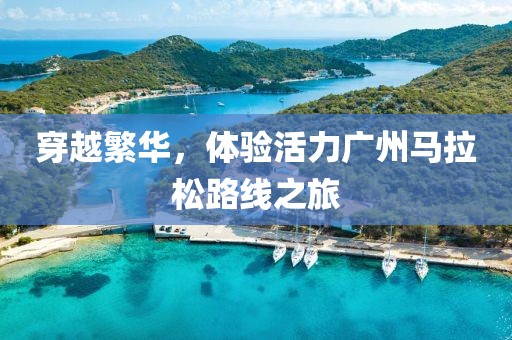 穿越繁华，体验活力广州马拉松路线之旅