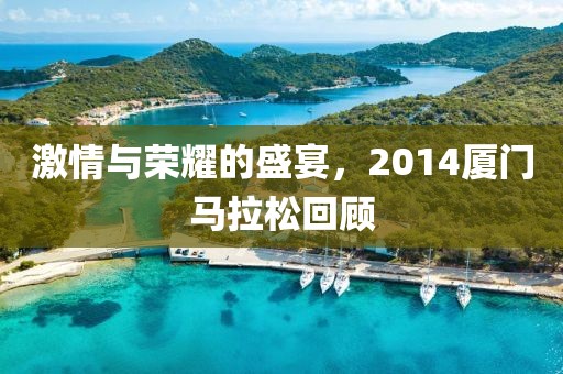 激情与荣耀的盛宴，2014厦门马拉松回顾