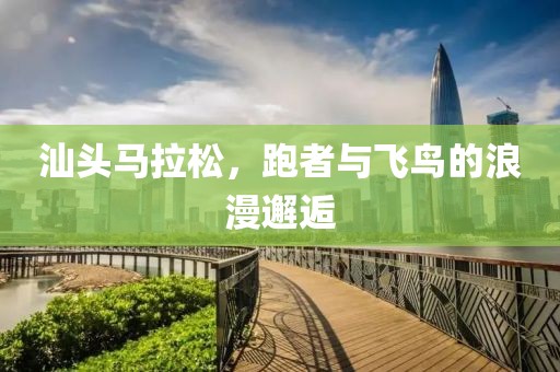 汕头马拉松，跑者与飞鸟的浪漫邂逅