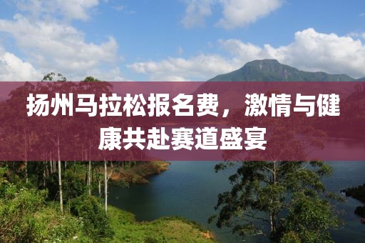 扬州马拉松报名费，激情与健康共赴赛道盛宴