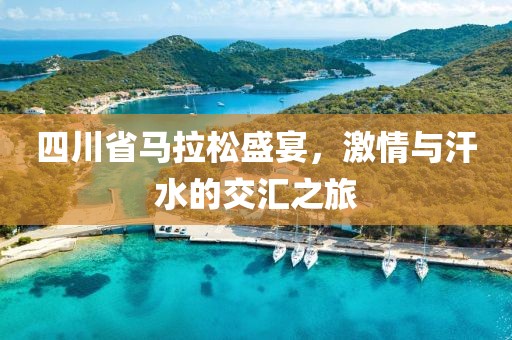 四川省马拉松盛宴，激情与汗水的交汇之旅