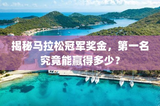 揭秘马拉松冠军奖金，第一名究竟能赢得多少？