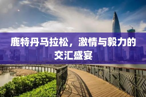 鹿特丹马拉松，激情与毅力的交汇盛宴